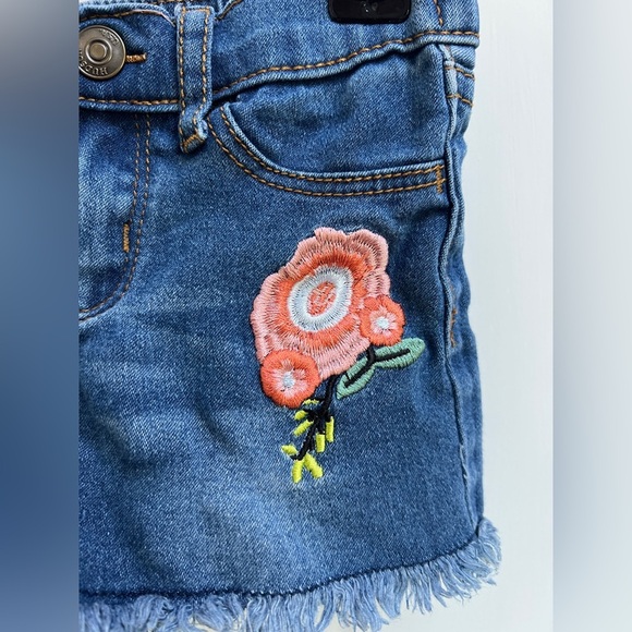 NWOT Hudson 2T Girls Floral Jean Shorts - Picture 3 of 5